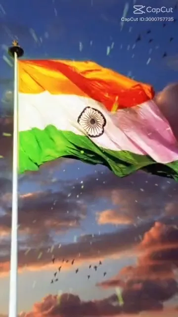 15 august independence day capcut template