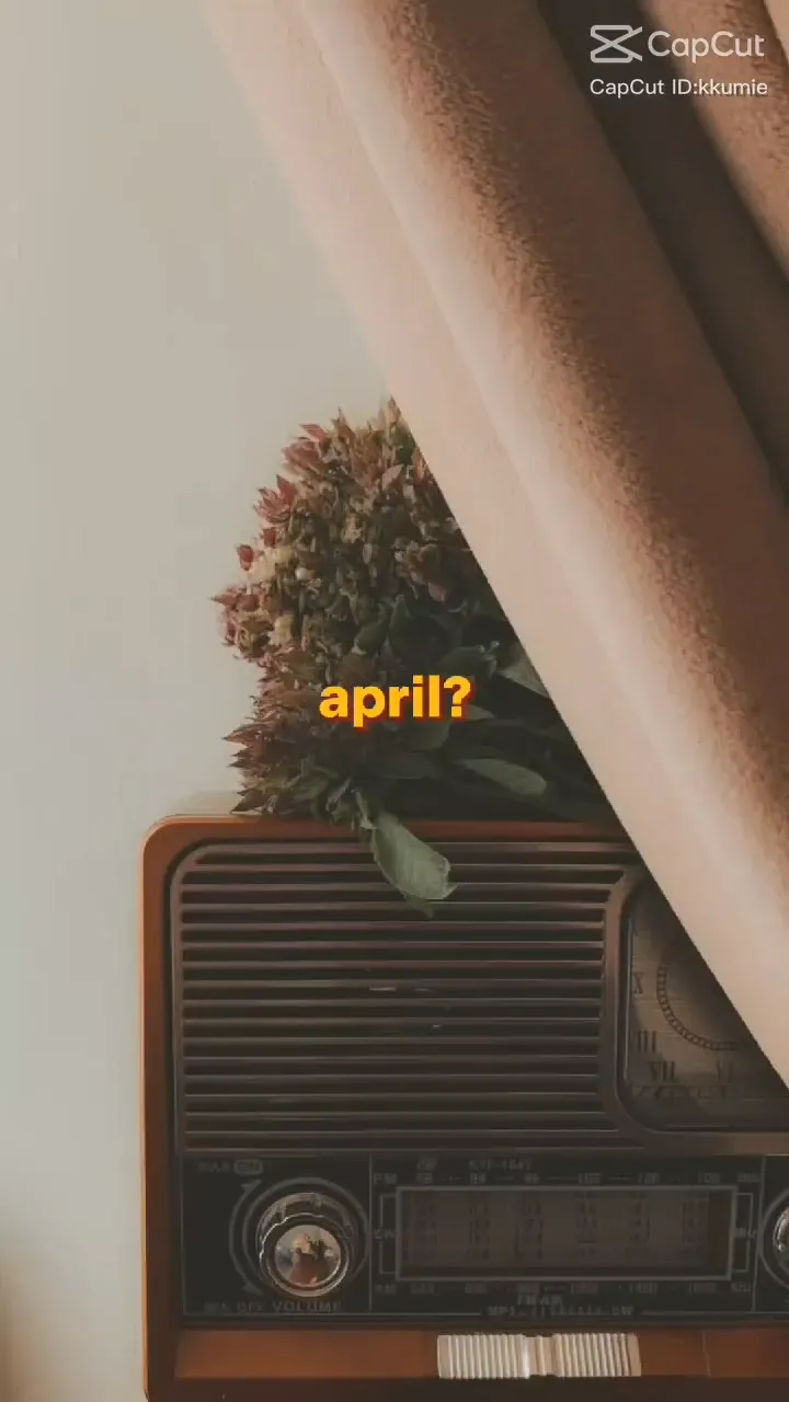 April Dump CapCut Template