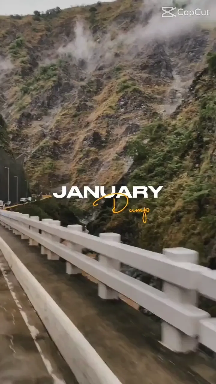 January Dump CapCut Template